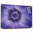 Violet Anemone Macro - Fine Art Photography Framed Prints