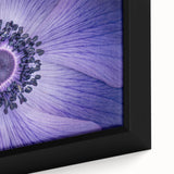 Violet Anemone Macro - Fine Art Photography Framed Prints