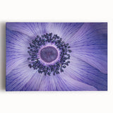 Violet Anemone Macro - Fine Art Photography Framed Prints