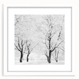 Urban Landscape Photography Decor – Contemporary City Wall Art