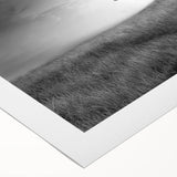 Minimalist Landscape Wall Art – Black and White Tree Scene Print