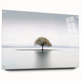 Lone Tree Reflection - Fine Art Photography Framed Prints