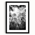 Urban Architectural Wall Art – Modern Cityscape Photography Print