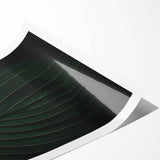 Botanical Elegance - Fine Art Green Leaf Photography Print