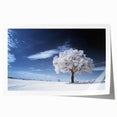 Fine Art Photography Acrylic Prints – Winter Serenity