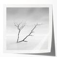 Minimalist Landscape Wall Art – Solitary Branch in Soft Mist