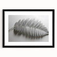 Minimalist Monochrome Leaf – Fine Art Botanical Photography