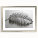 Minimalist Monochrome Leaf – Fine Art Botanical Photography