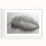 Minimalist Monochrome Leaf – Fine Art Botanical Photography