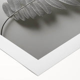 Minimalist Monochrome Leaf – Fine Art Botanical Photography