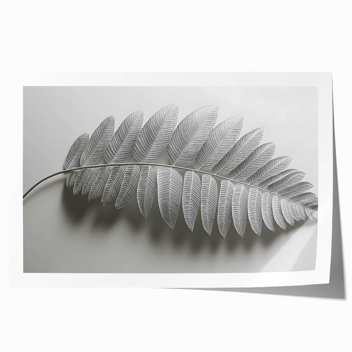 Minimalist Monochrome Leaf – Fine Art Botanical Photography