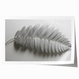 Minimalist Monochrome Leaf – Fine Art Botanical Photography