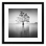 Minimalist Mountain Wall Art – Tree Reflections in Calm Waters