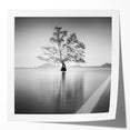 Minimalist Mountain Wall Art – Tree Reflections in Calm Waters