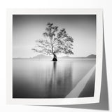 Minimalist Mountain Wall Art – Tree Reflections in Calm Waters