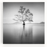 Minimalist Mountain Wall Art – Tree Reflections in Calm Waters
