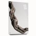 Modern Abstract Canvas Prints – Organic Gray and Brown Texture