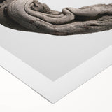 Modern Abstract Canvas Prints – Organic Gray and Brown Texture