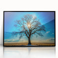 Majestic Tree & Sunburst – Fine Art Nature Photography Print