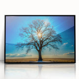 Majestic Tree & Sunburst – Fine Art Nature Photography Print