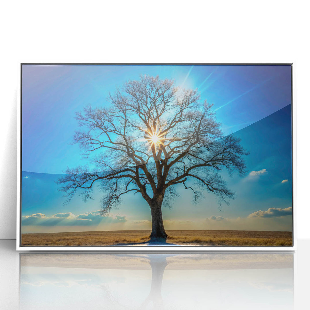 Majestic Tree & Sunburst – Fine Art Nature Photography Print