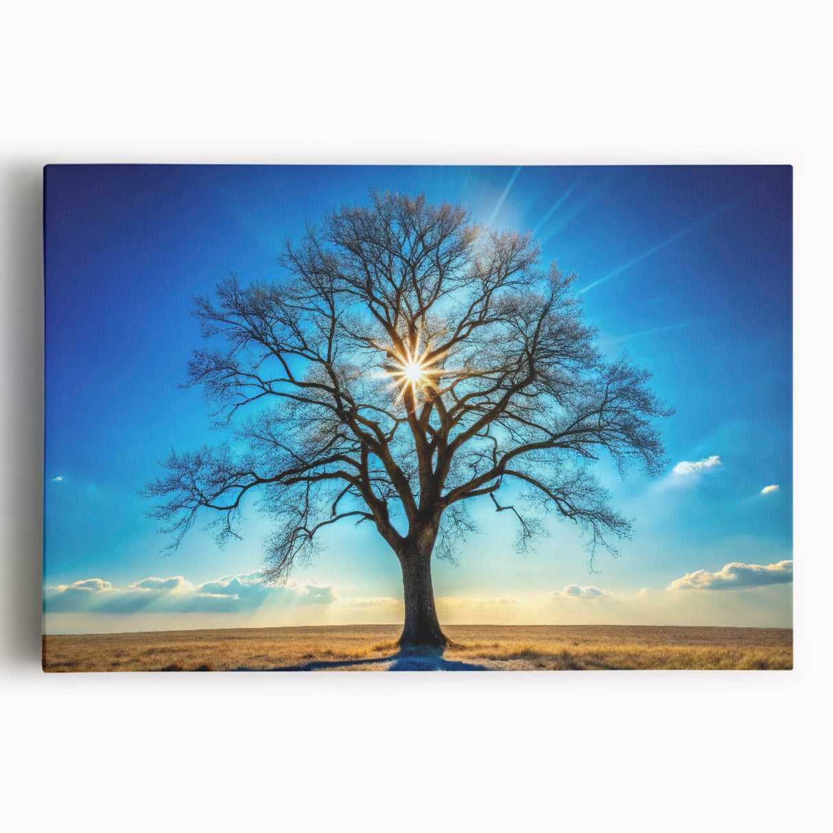Majestic Tree & Sunburst – Fine Art Nature Photography Print