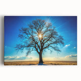 Majestic Tree & Sunburst – Fine Art Nature Photography Print