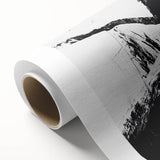 Bold Black and White Abstract Wall Art - Organic Expression Canvas