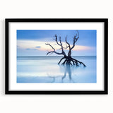 Driftwood Seascape - Fine Art Photography Framed Prints
