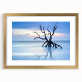 Driftwood Seascape - Fine Art Photography Framed Prints
