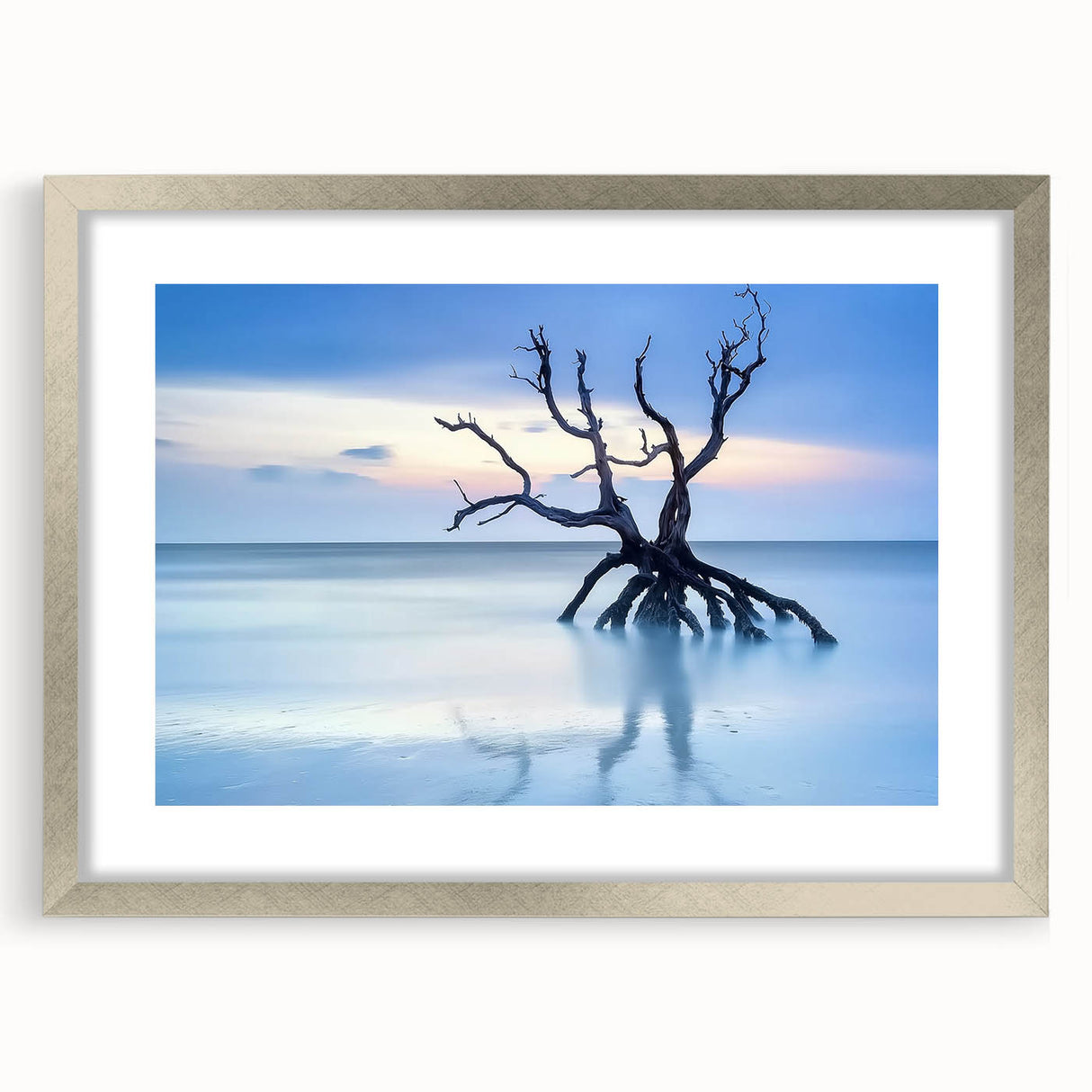 Driftwood Seascape - Fine Art Photography Framed Prints