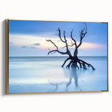 Driftwood Seascape - Fine Art Photography Framed Prints