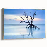 Driftwood Seascape - Fine Art Photography Framed Prints