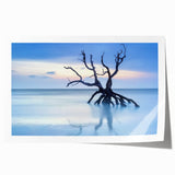 Driftwood Seascape - Fine Art Photography Framed Prints