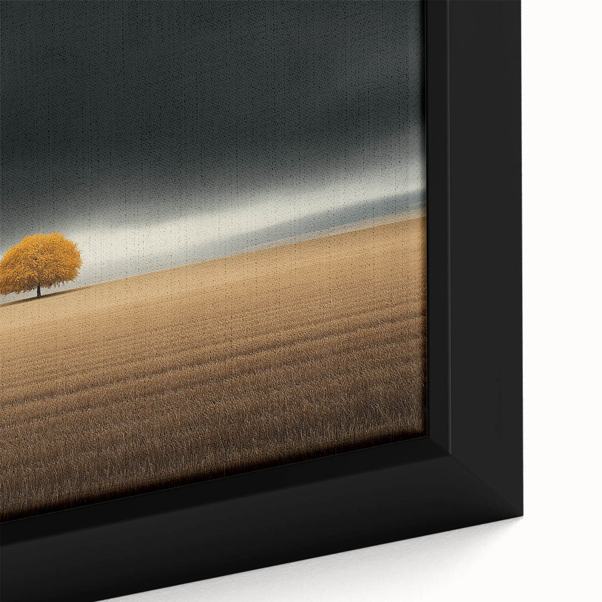 Golden Solitary Tree – Dramatic Landscape & Nature Art Prints