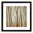 Peaceful Scenery Framed Art – Calming Forest Landscape Canvas