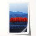 Vibrant Red Trees - Fine Art Photography Canvas Prints