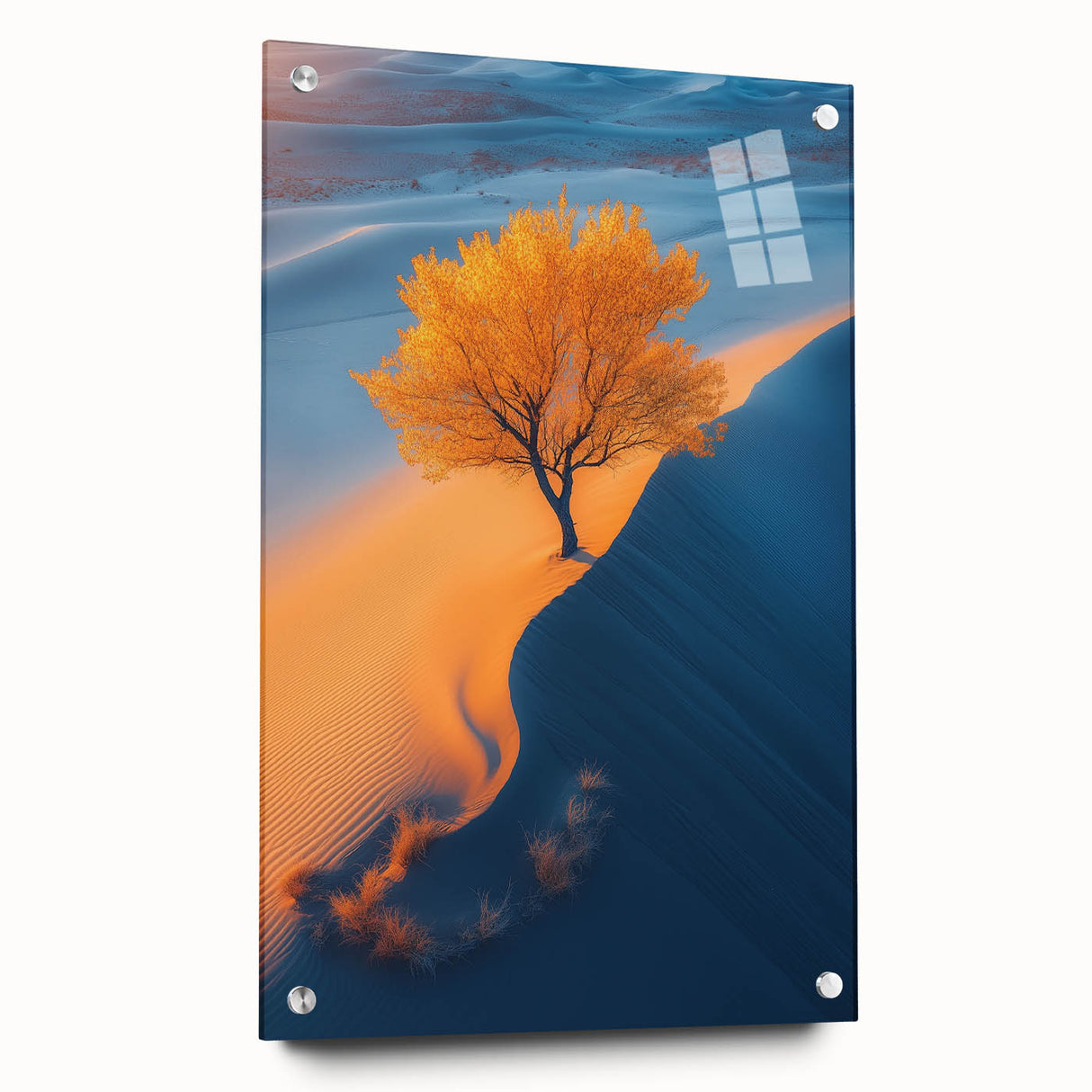Golden Dune Tree – Dramatic Desert Landscape & Nature Art Prints