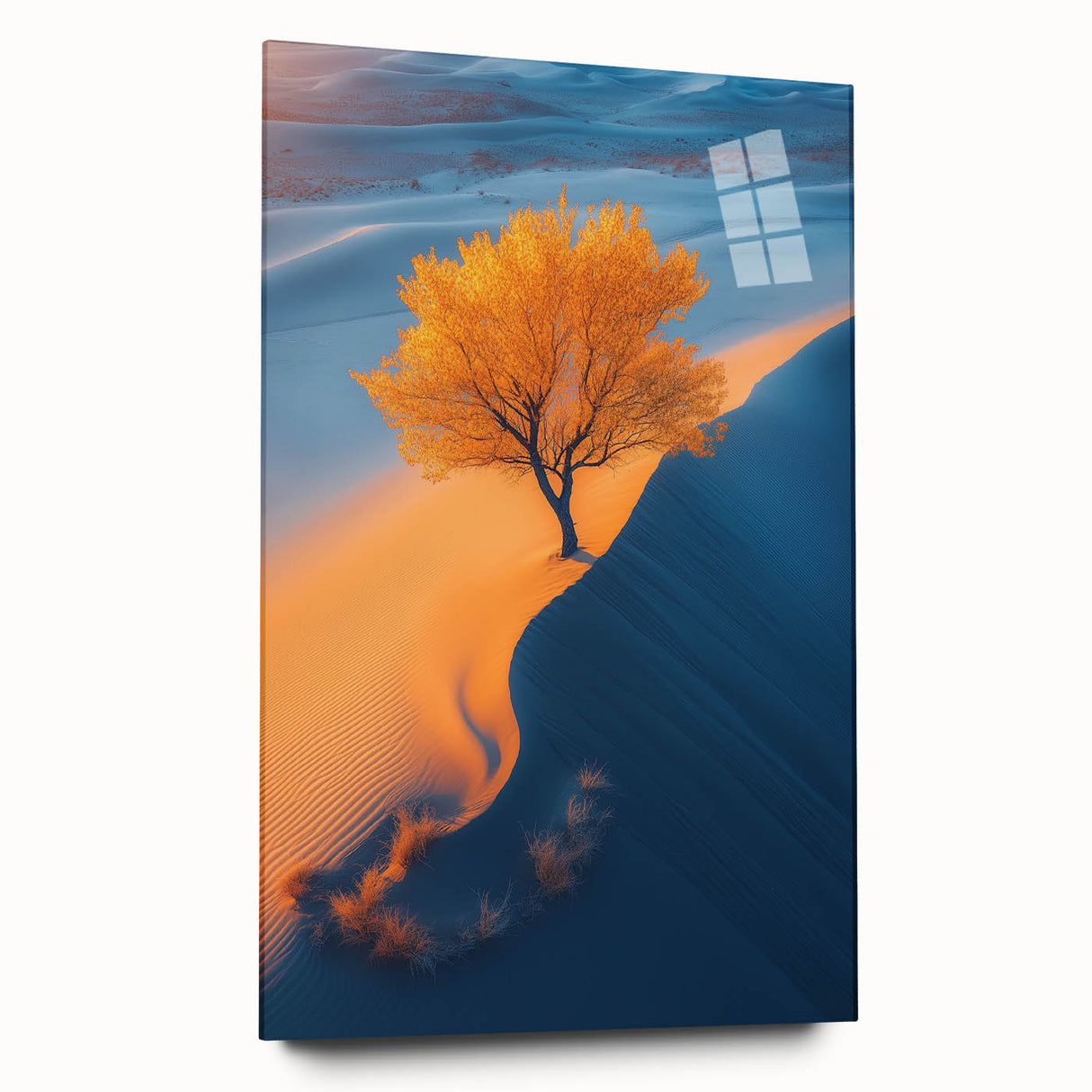 Golden Dune Tree – Dramatic Desert Landscape & Nature Art Prints