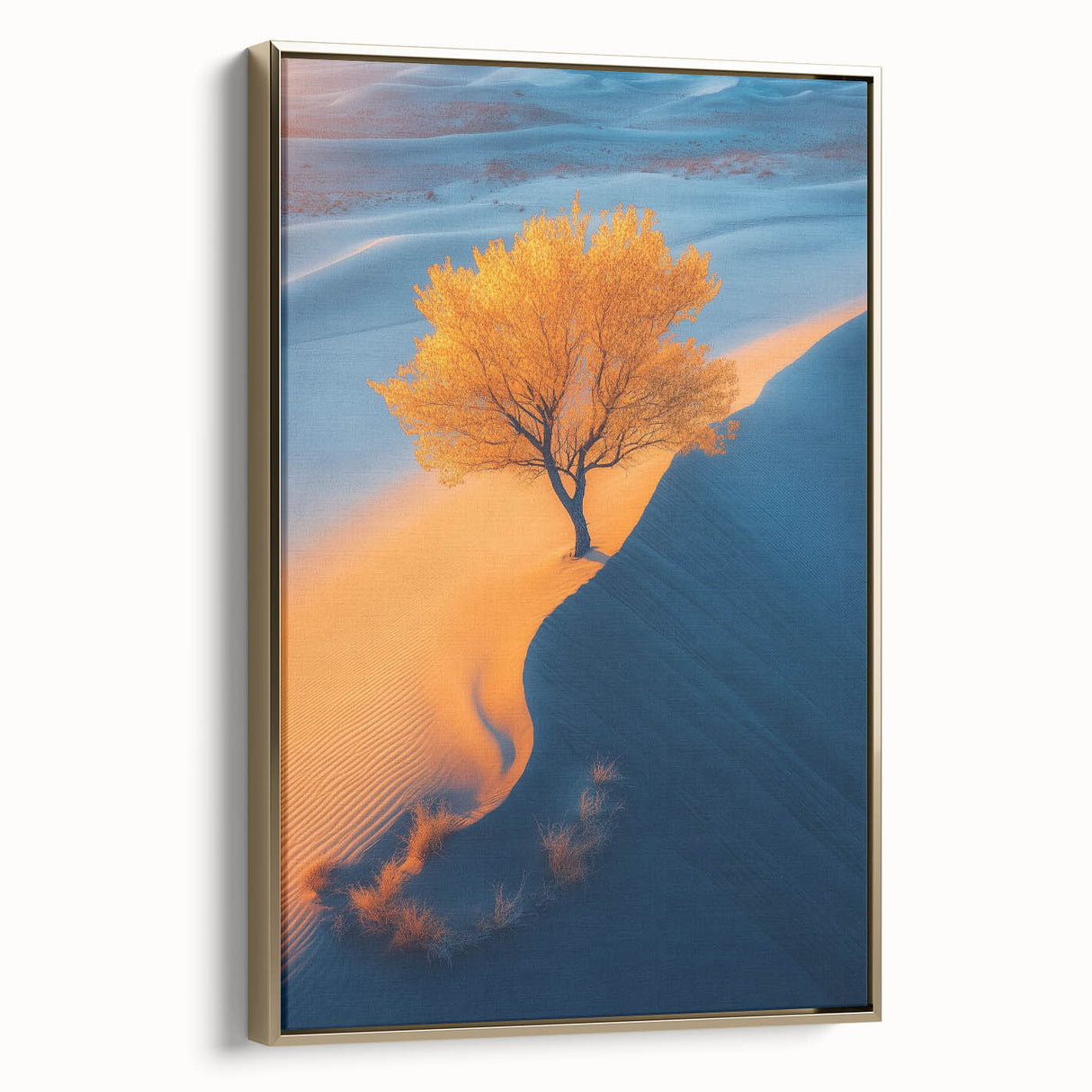 Golden Dune Tree – Dramatic Desert Landscape & Nature Art Prints