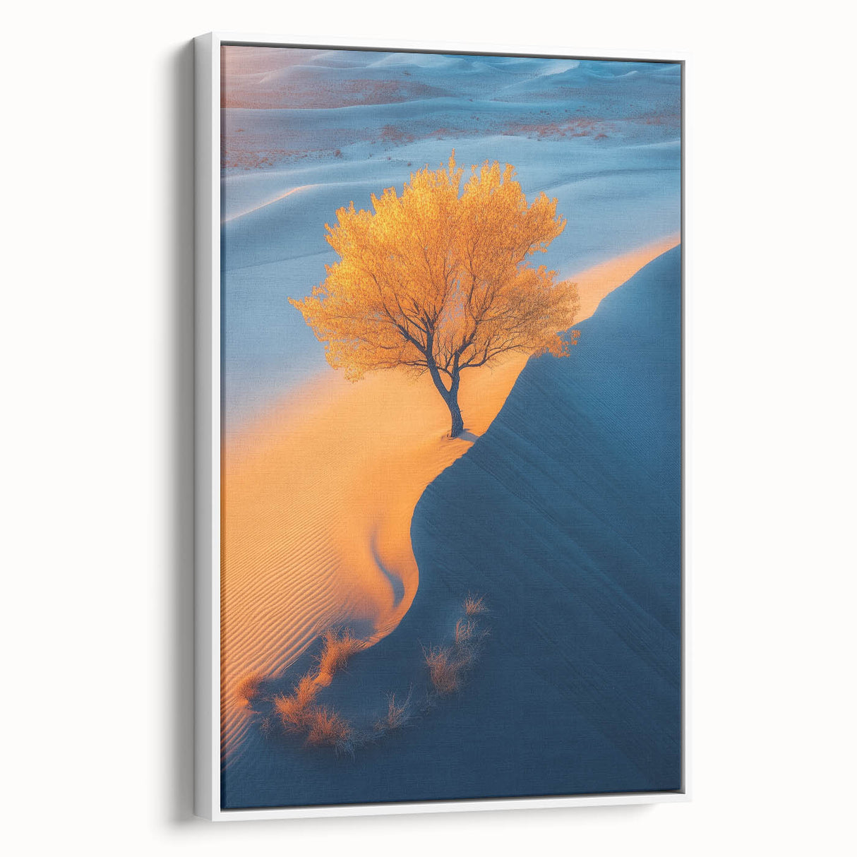 Golden Dune Tree – Dramatic Desert Landscape & Nature Art Prints