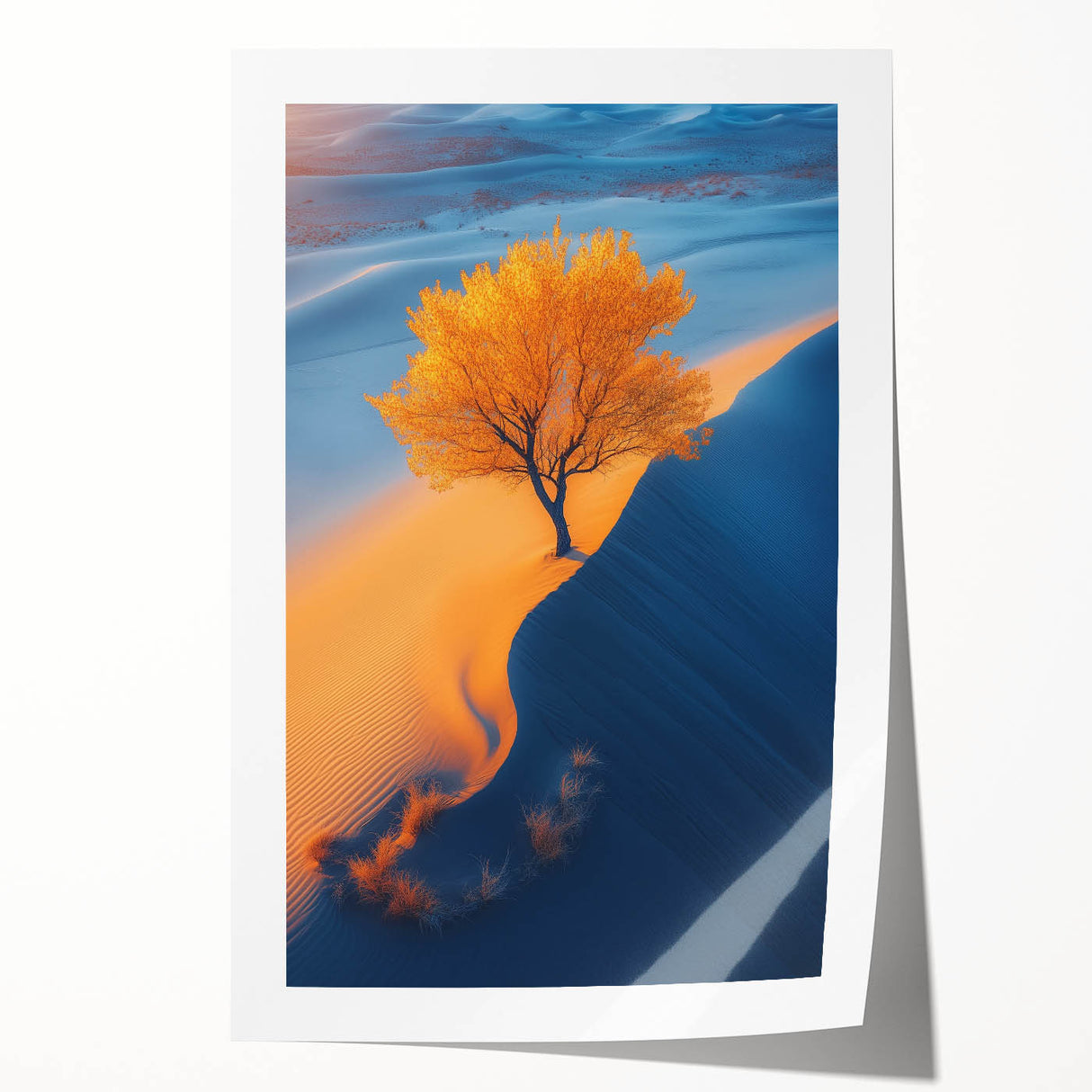 Golden Dune Tree – Dramatic Desert Landscape & Nature Art Prints