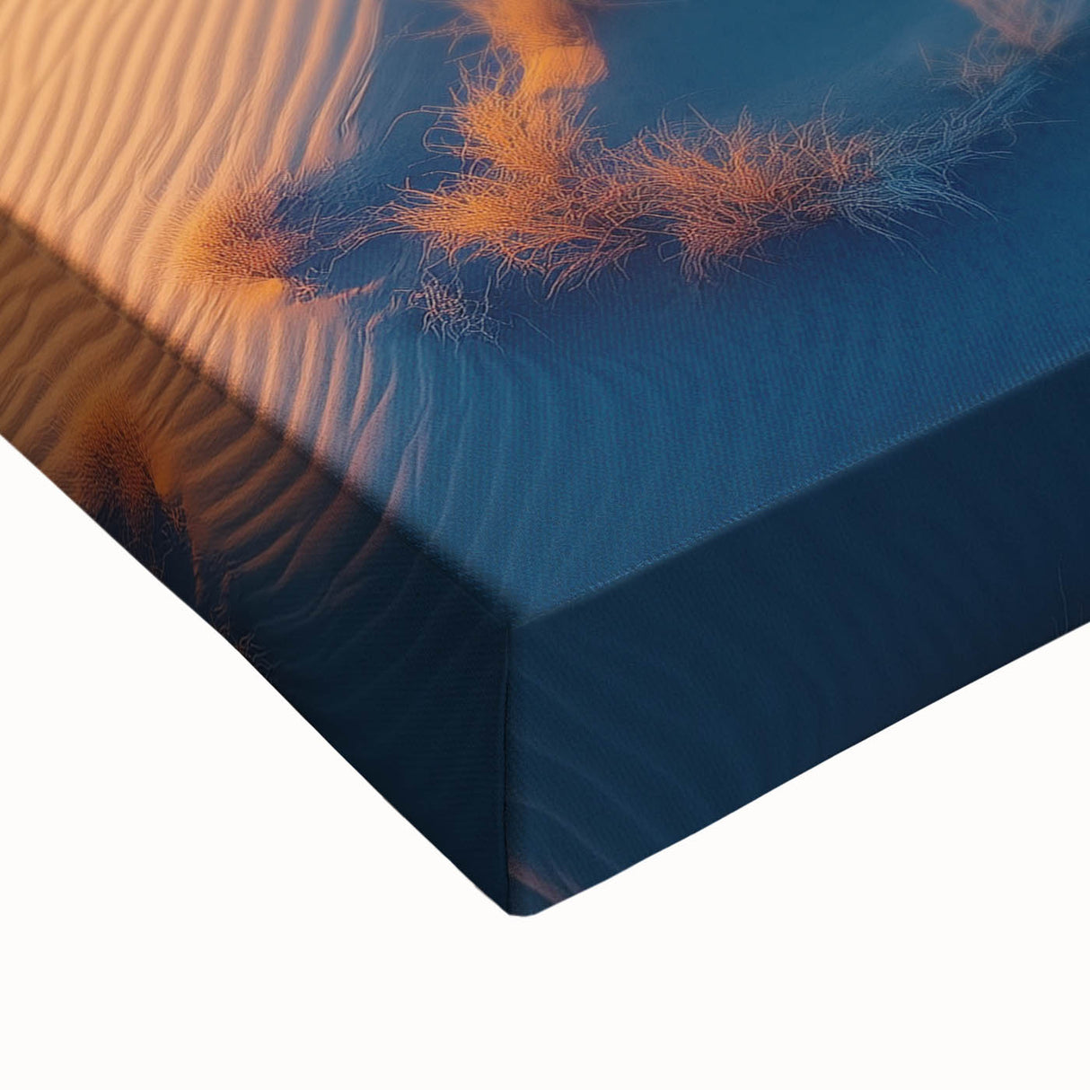 Golden Dune Tree – Dramatic Desert Landscape & Nature Art Prints