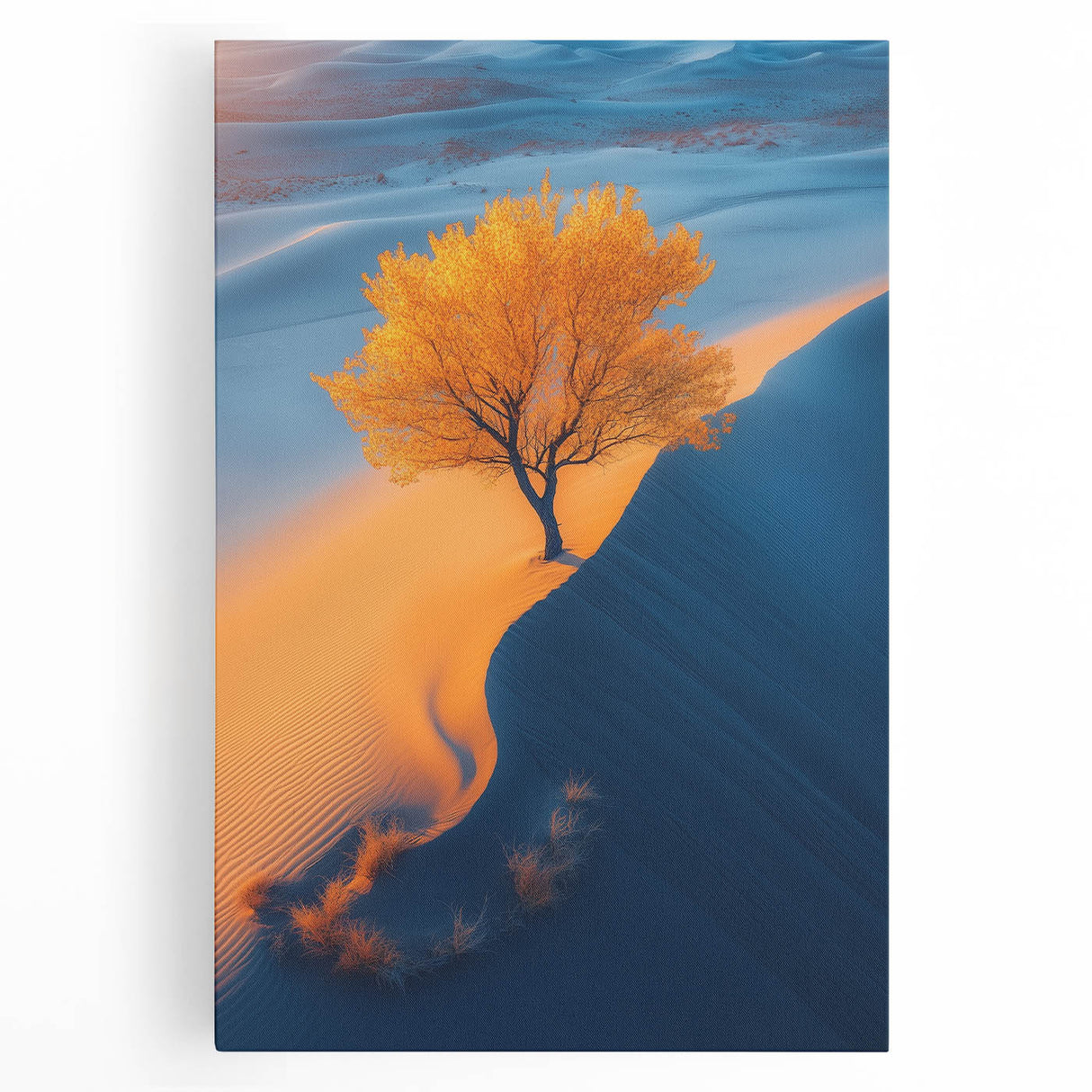 Golden Dune Tree – Dramatic Desert Landscape & Nature Art Prints