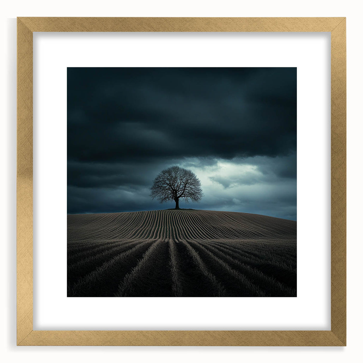 Dramatic Storm Tree – Moody Landscape & Nature Art Prints