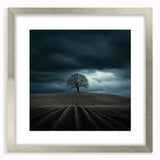 Dramatic Storm Tree – Moody Landscape & Nature Art Prints