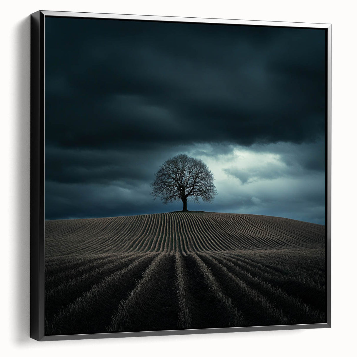 Dramatic Storm Tree – Moody Landscape & Nature Art Prints