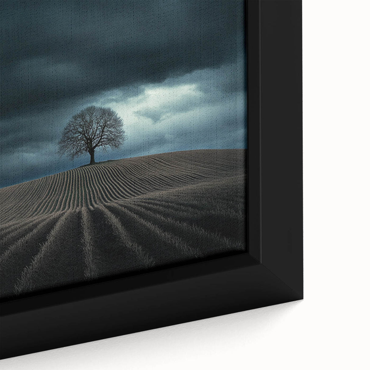 Dramatic Storm Tree – Moody Landscape & Nature Art Prints