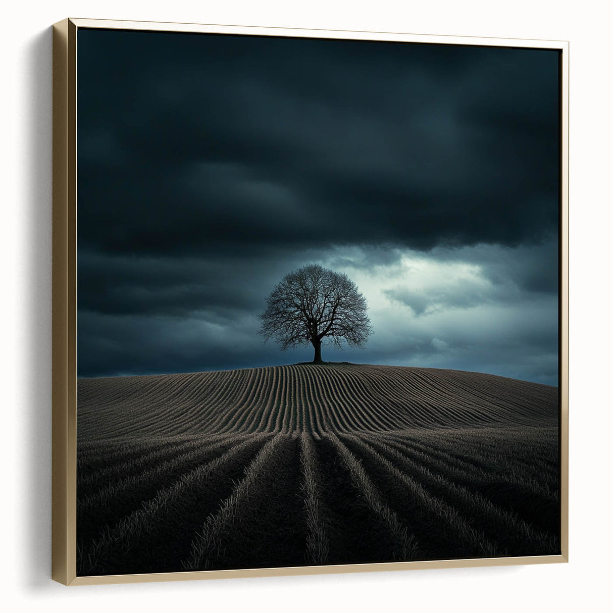 Dramatic Storm Tree – Moody Landscape & Nature Art Prints