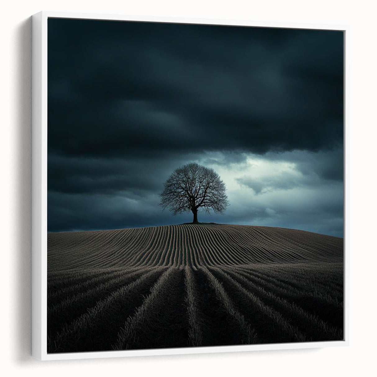 Dramatic Storm Tree – Moody Landscape & Nature Art Prints